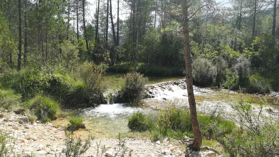 Hotel Rio Escabas, Serrania De Cuenca 캐나마레즈 외부 사진