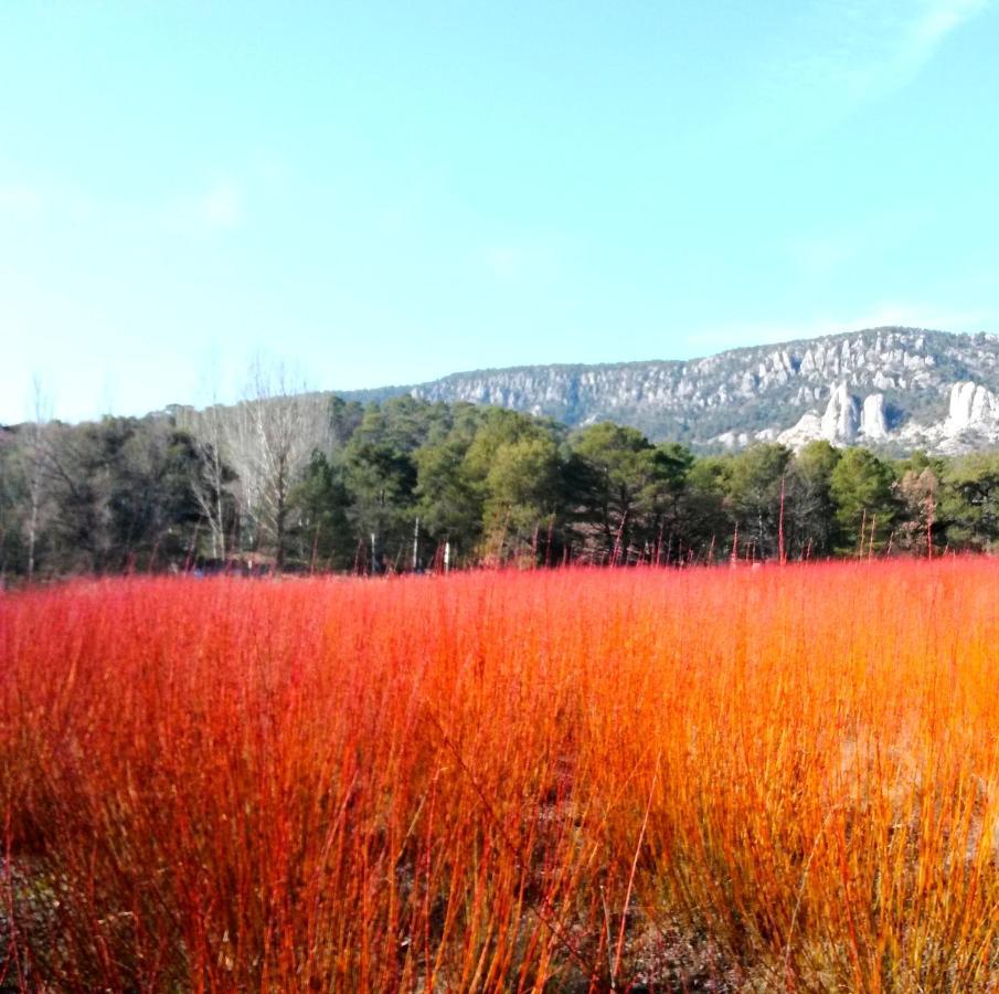 Hotel Rio Escabas, Serrania De Cuenca 캐나마레즈 외부 사진